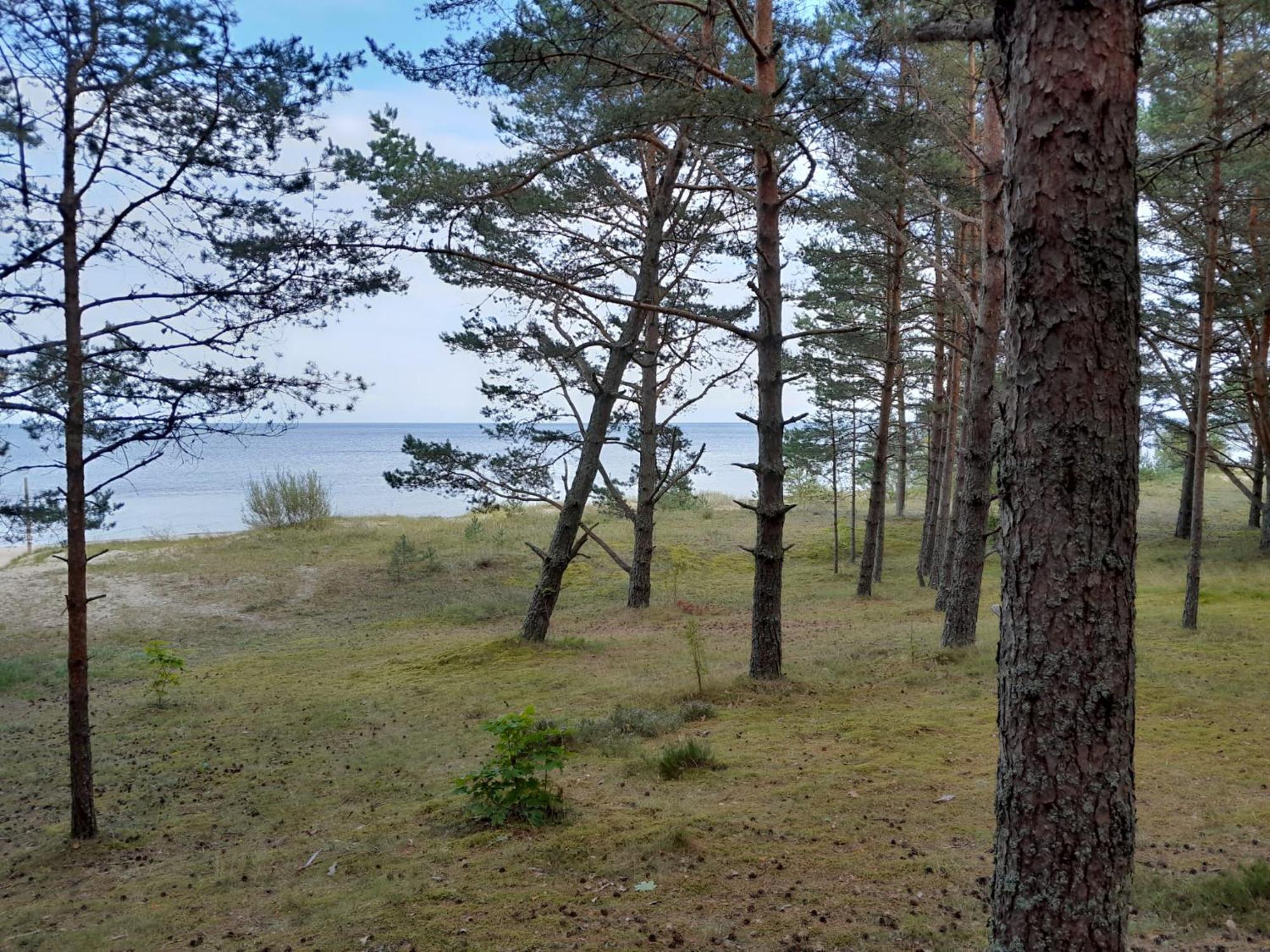 Glamping Fluffy Horns - Glempings Pukainie Ragi Hotel Plieņciems Exterior foto